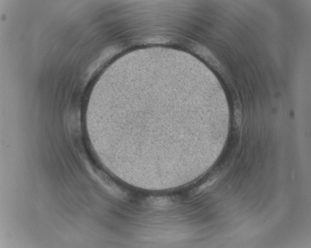 X0000075920534200610062210