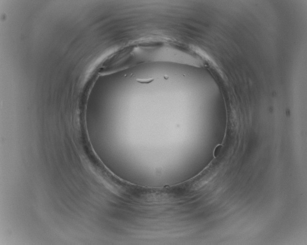 X0000075920535200610062210