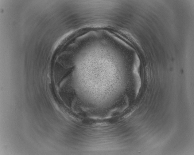 X0000075920536200610062210