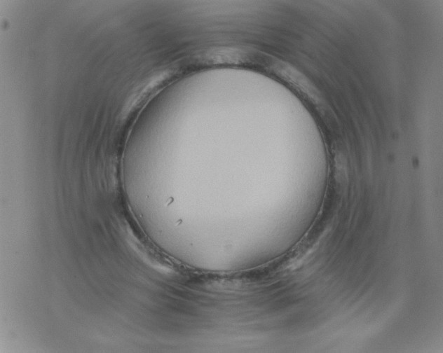 X0000075920537200610062210