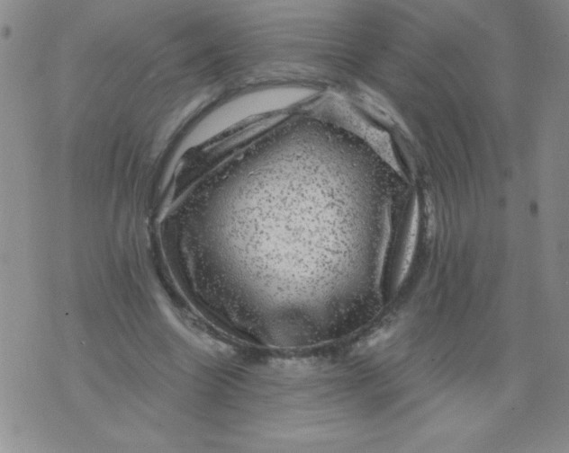 X0000075920538200610062210