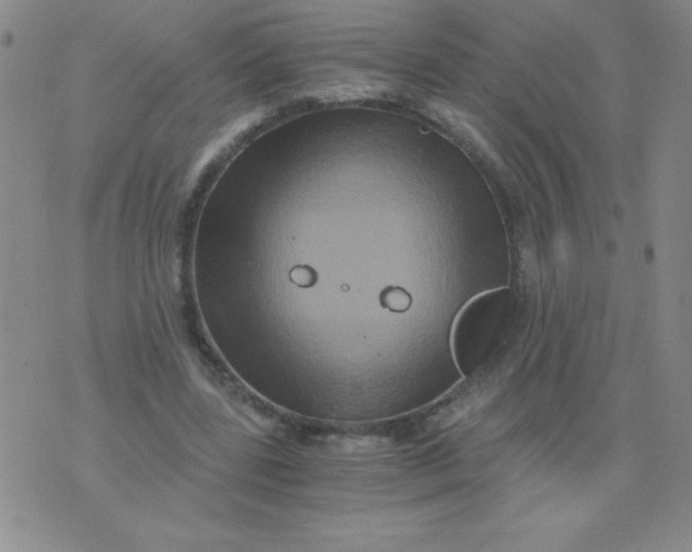 X0000075920539200610062210