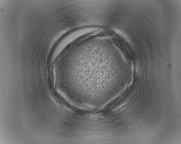 X0000075920540200610062210