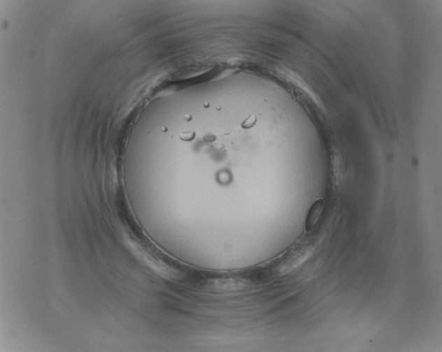 X0000075920541200610062210