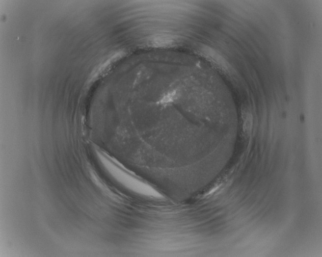 X0000075920542200610062210