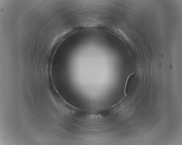 X0000075920543200610062210