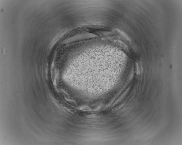 X0000075920544200610062210