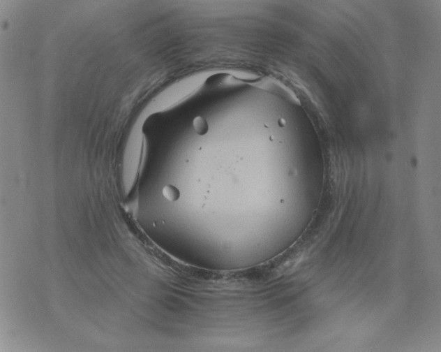 X0000075920545200610062210