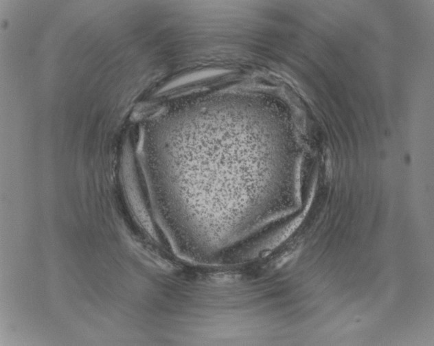 X0000075920546200610062210