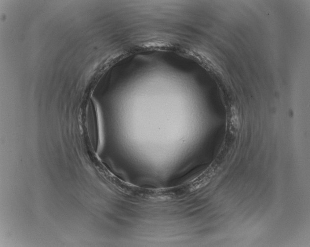 X0000075920547200610062210