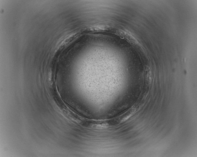 X0000075920548200610062210