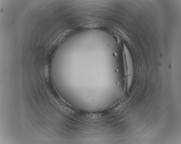 X0000075920549200610062210