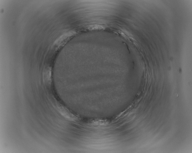 X0000075920550200610062210