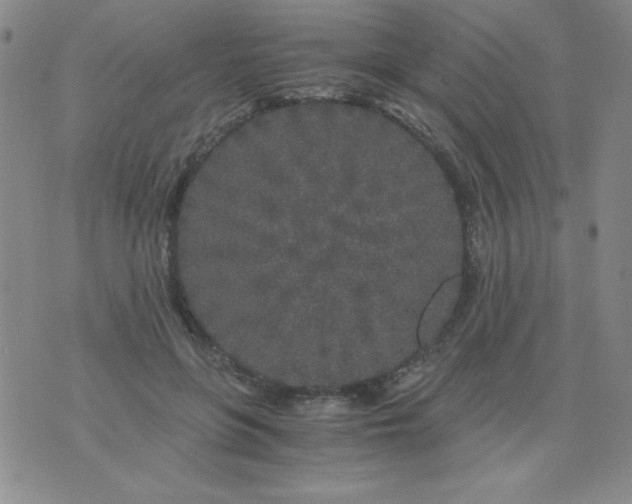 X0000075920551200610062210