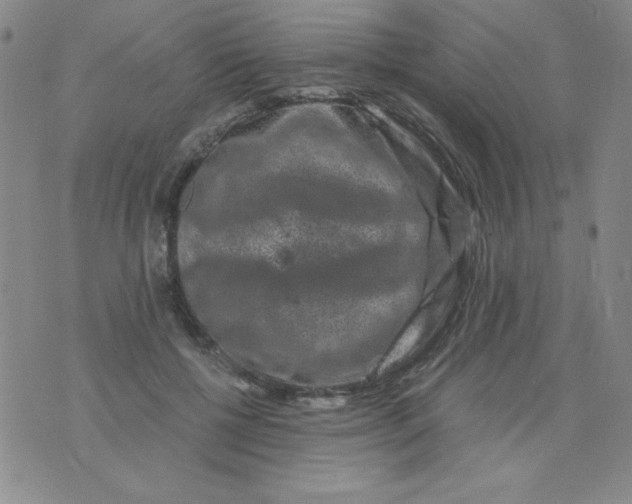 X0000075920552200610062210