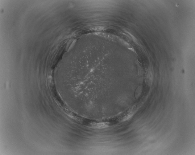 X0000075920553200610062210