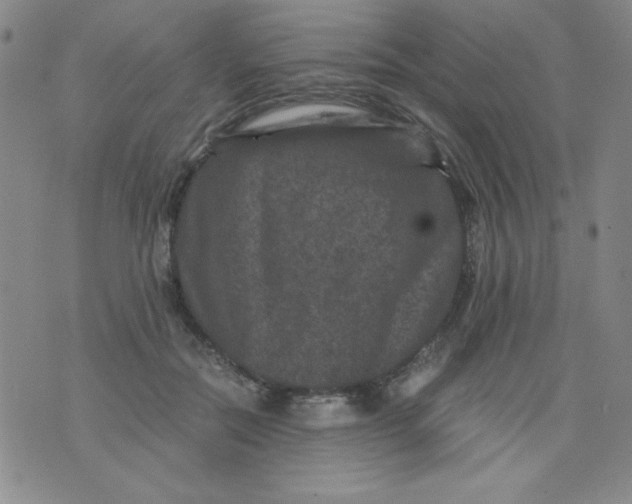 X0000075920554200610062210