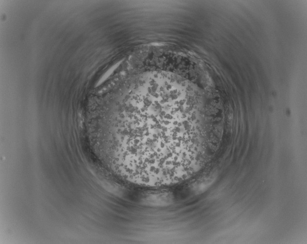 X0000075920555200610062210