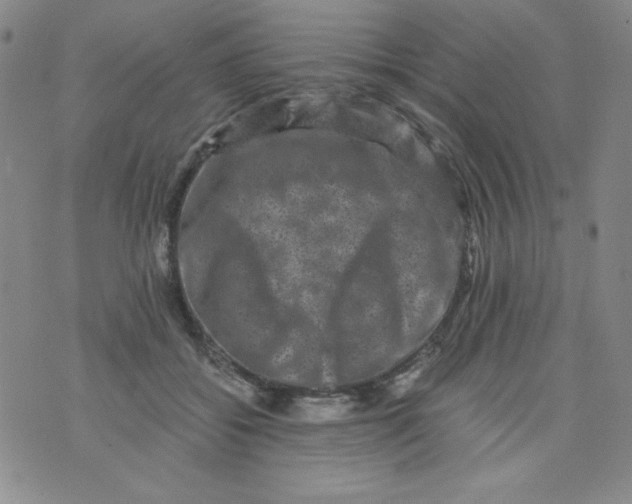 X0000075920556200610062210