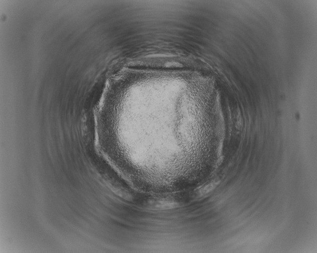 X0000075920559200610062210