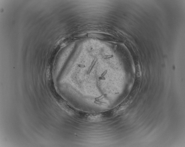 X0000075920560200610062210