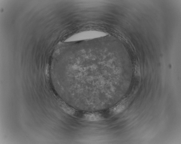 X0000075920561200610062210