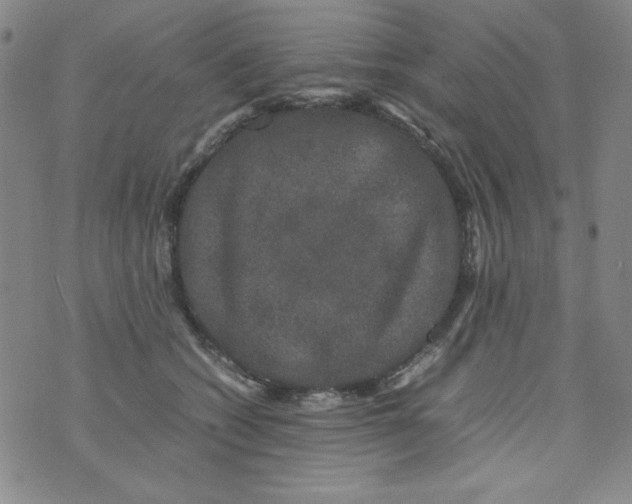 X0000075920562200610062210