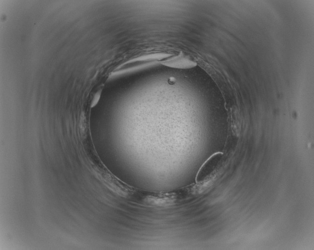 X0000075920563200610062210