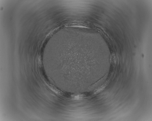 X0000075920564200610062210