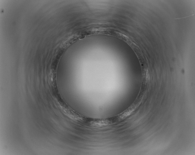 X0000075920567200610062210