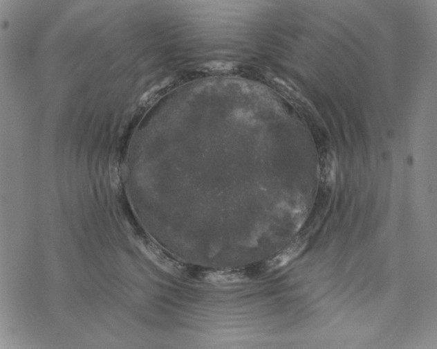 X0000075920568200610062210