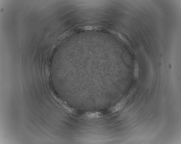 X0000075920569200610062210