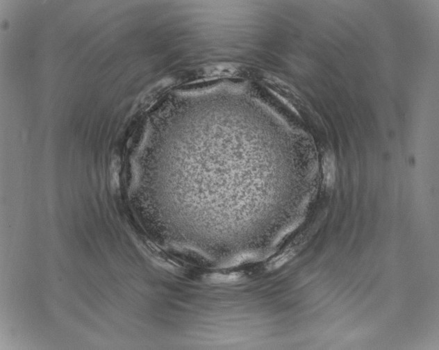 X0000075920570200610062210