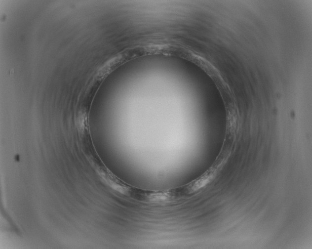 X0000075920574200610062211