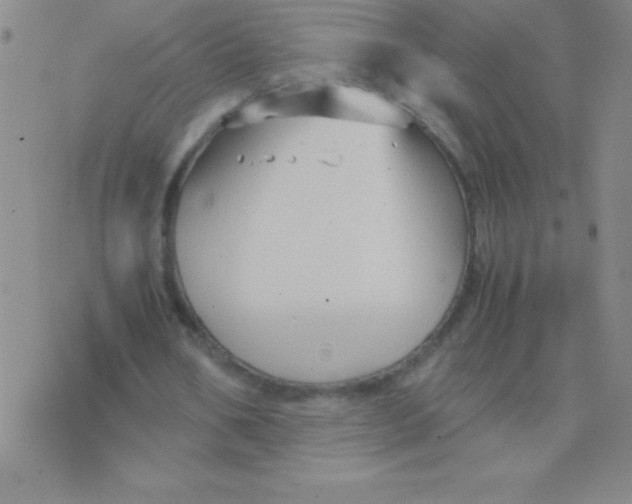 X0000075920578200610062210