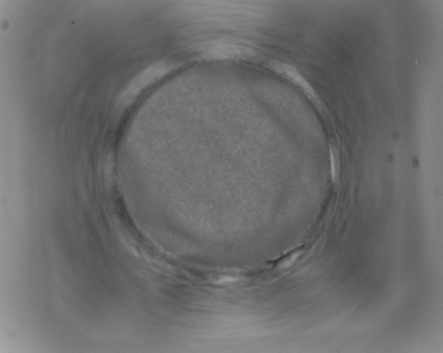 X0000075920579200610062210