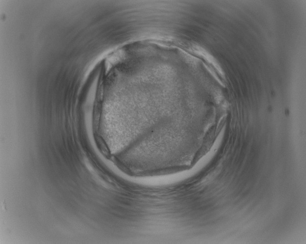 X0000075920580200610062210