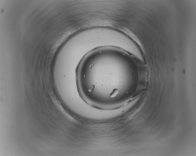 X0000075920581200610062210