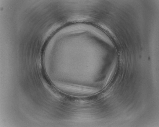 X0000075920582200610062210