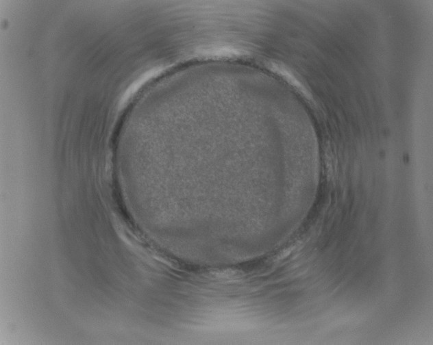 X0000075920583200610062210