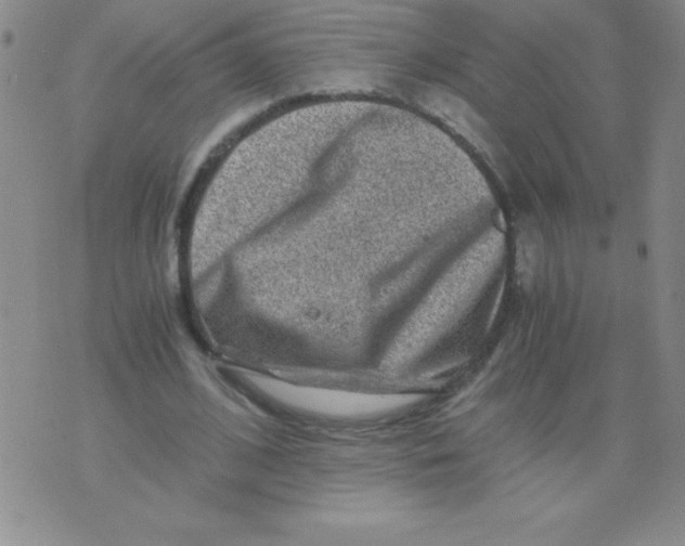 X0000075920584200610062210