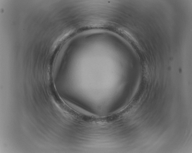 X0000075920586200610062210