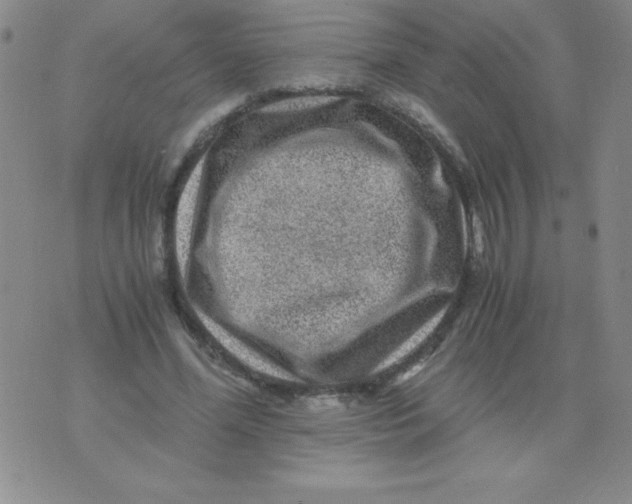 X0000075920588200610062210