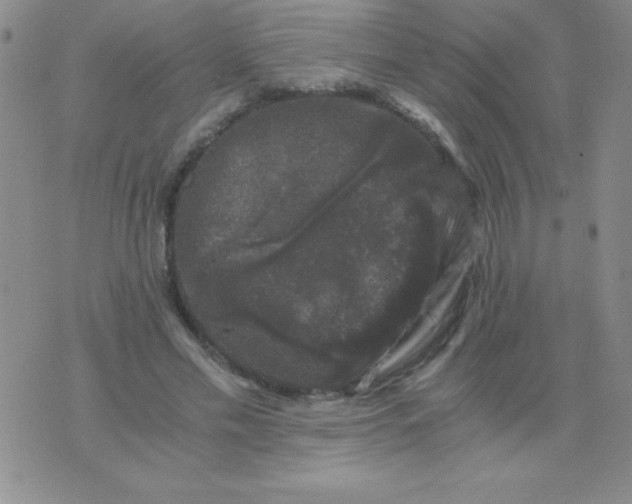 X0000075920589200610062210