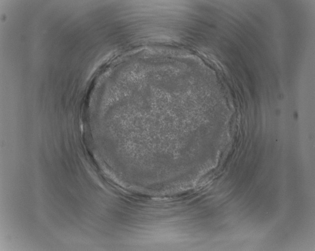 X0000075920591200610062210