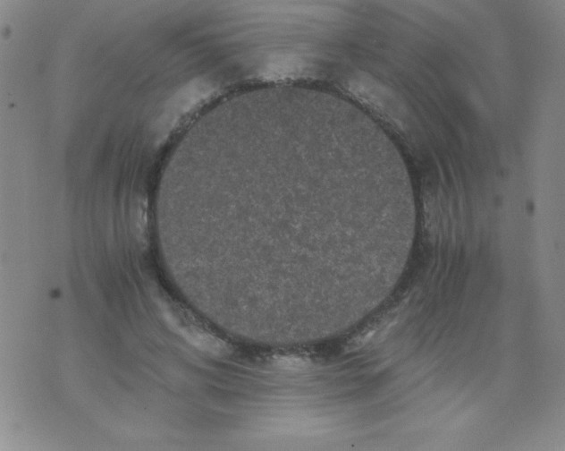 X0000075920592200610062210