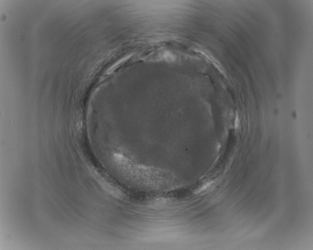 X0000075920593200610062210