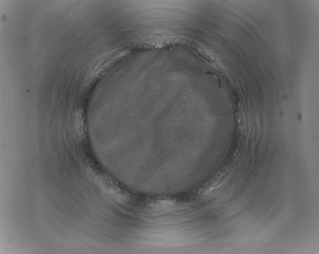 X0000075920594200610062210