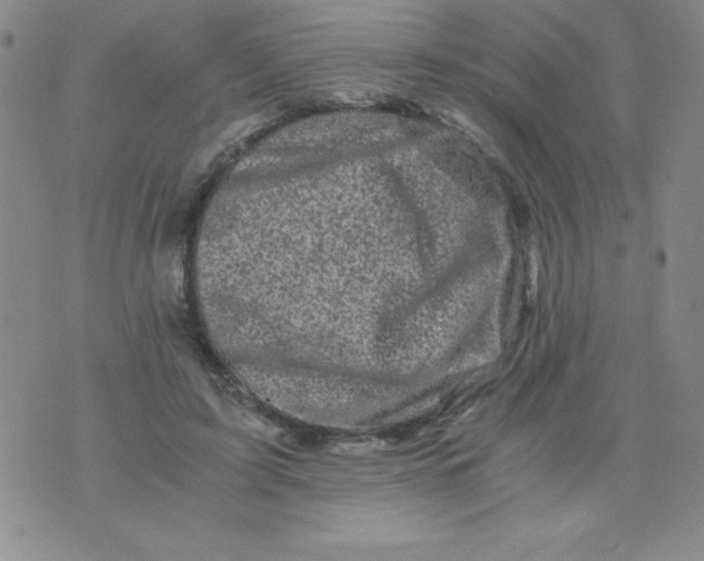 X0000075920595200610062210