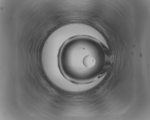 X0000075920597200610062209